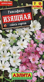 Цветы Гипсофила изящная, смесь ц/п Аэлита*28