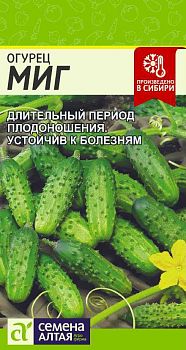 Огурец Миг /Сем Алт/цп 0,5 гр. (2029)