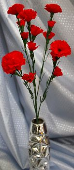 Шабо ветка 65см 5/50