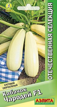 Кабачок белоплодный чародей F1 ц/п Аэлита*30