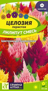 Цветы Целозия Лилипут смесь Перистая/Сем Алт/цп 0,5 гр. (2029)