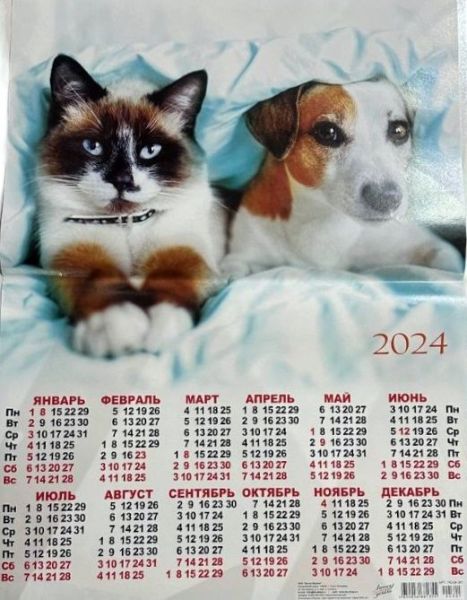 33349