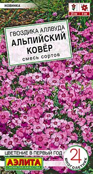 Цветы Гвоздика аллвудаа Альпийский ковер ц/п Аэлита *29