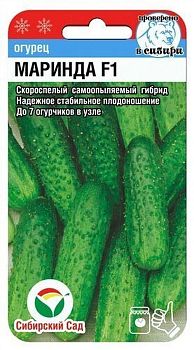 Огурец Маринда F1 ц/п 5шт СибС