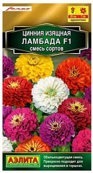 Цветы Цинния Ламбада F1 смесь ц/п Аэлита*28