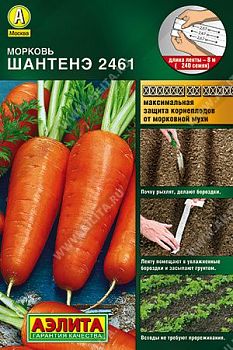 Морковь Лента Шантенэ 2461 Аэлита *29