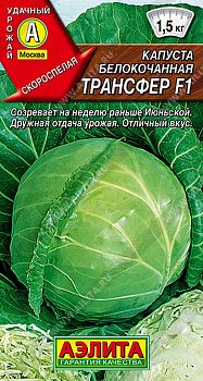 Капуста б/к Трансфер F1 ц/п Аэлита*28