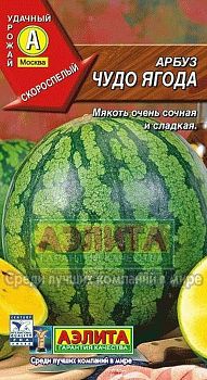 Арбуз Чудо ягода ц/п Аэлита*29