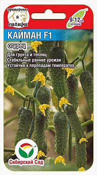 Огурец Кайман F1 ц/п 7шт СибС