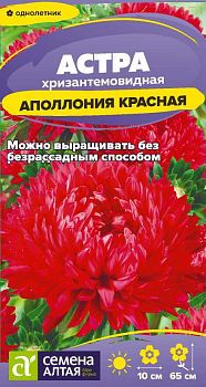 Цветы Астра Аполлония Красная/Сем Алт/цп 0,2 гр. (2028)