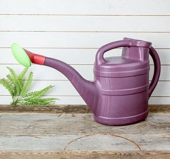 Лейка 10л Престиж с рассеивателем г.Екатеринбург(10шт)