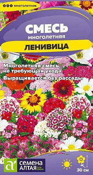 Цветы Смесь Ленивица многолетняя низкая/Сем Алт/цп 0,3 гр. (2028)