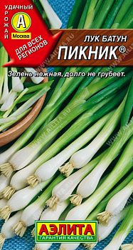 Лук батун Пикник ц/п Аэлита*28