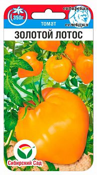 Томат Золотой лотос ц/п 20шт СибС 