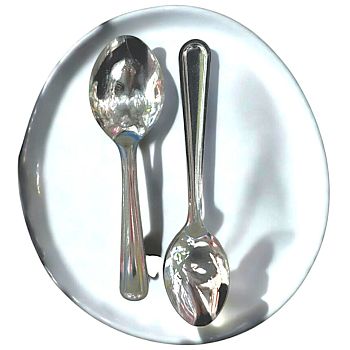 Ложка чайная металлическая (набор 12ш) 1/120 5501