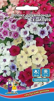 Цветы Флокс Друммонда-Сесилия ц/п Марс