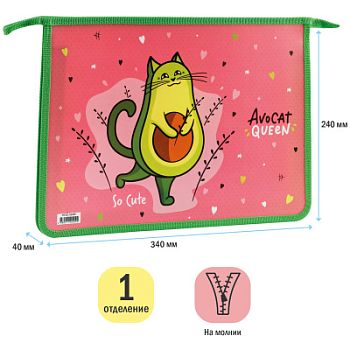 Папка для тетр 1от А4 ArtSpase "AvoCat" пластик на молнии 42209