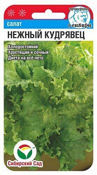 Салат Нежный кудрявец ц/п 0,5г СибС