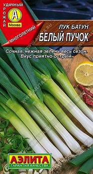 Лук батун Белый пучок ц/п Аэлита*28
