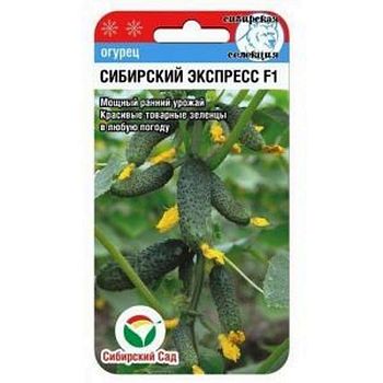 Огурец Сибирский экспресс F1 ц/п 7шт СибС