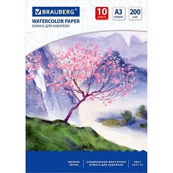 Папка для акварели А3 10 листов Сакура 200г/м2 297*420мм 125224