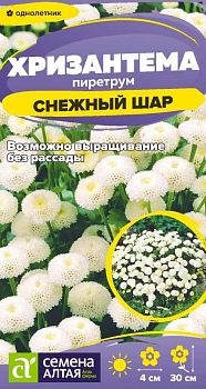 Цветы Хризантема Снежный шар пиретрум/Сем Алт/цп 0,1 гр. (2029)