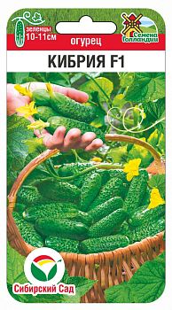 Огурец Кибрия F1 ц/п 5шт СибС