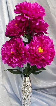 Пион 7голов 65см 1/10