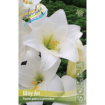 Лилия Шоу Ап 11/12 2шт