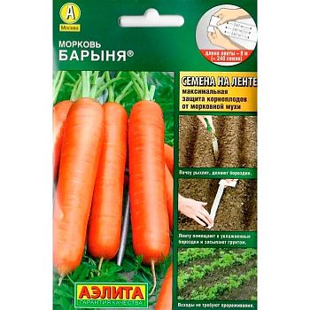 Морковь Лента Барыня Аэлита*28