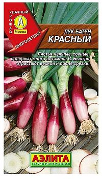 Лук батун Красный ц/п Аэлита*28