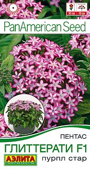 Цветы Пентас Глиттерати F1 пурпл стар ц/п Аэлита *29