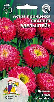 Цветы Астра принцесса Скарлет Эдельштейн ц/п Марс