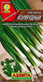 Лук батун Изумрудный ц/п Аэлита*29
