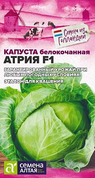 Капуста б/к Атрия Fl /Сем Алт/цп 10 шт. Seminis (Голландские Семена) (2030)