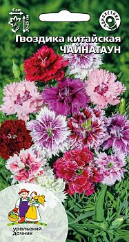 Цветы Гвоздика китайская Чайнатаун ц/п Марс