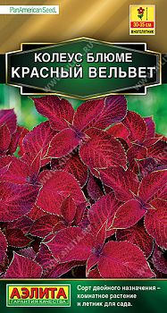 Цветы Колеус блюме Красный вельвет ц/п Аэлита *29