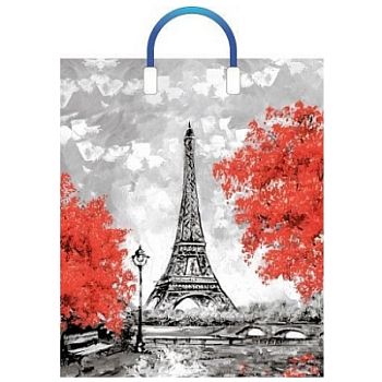 Пакет фотопечать "Моменты" 38*3+45см(90мкм) с пласт.ручкой по 5шт 5/50