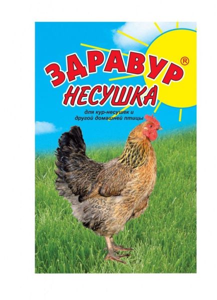29359
