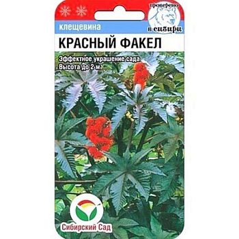 Клещевина Красный факел ц/п 5шт СибС