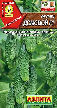 Огурец Домовой F1 ц/п  Аэлита*29