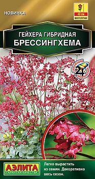 Цветы Гейхера брессинхгхема гибридная ц/п Аэлита *29