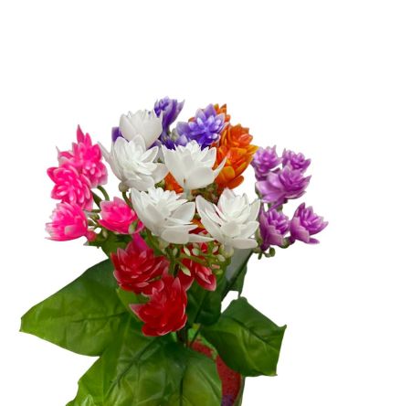 26921-PhotoRoom.png-PhotoRoom_1