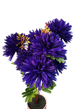 Астра 7голов 60см 2/20