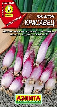 Лук батун Красавец ц/п Аэлита *28