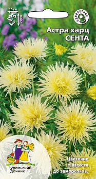Цветы Астра Сента харц ц/п Марс