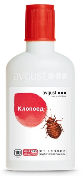 29364